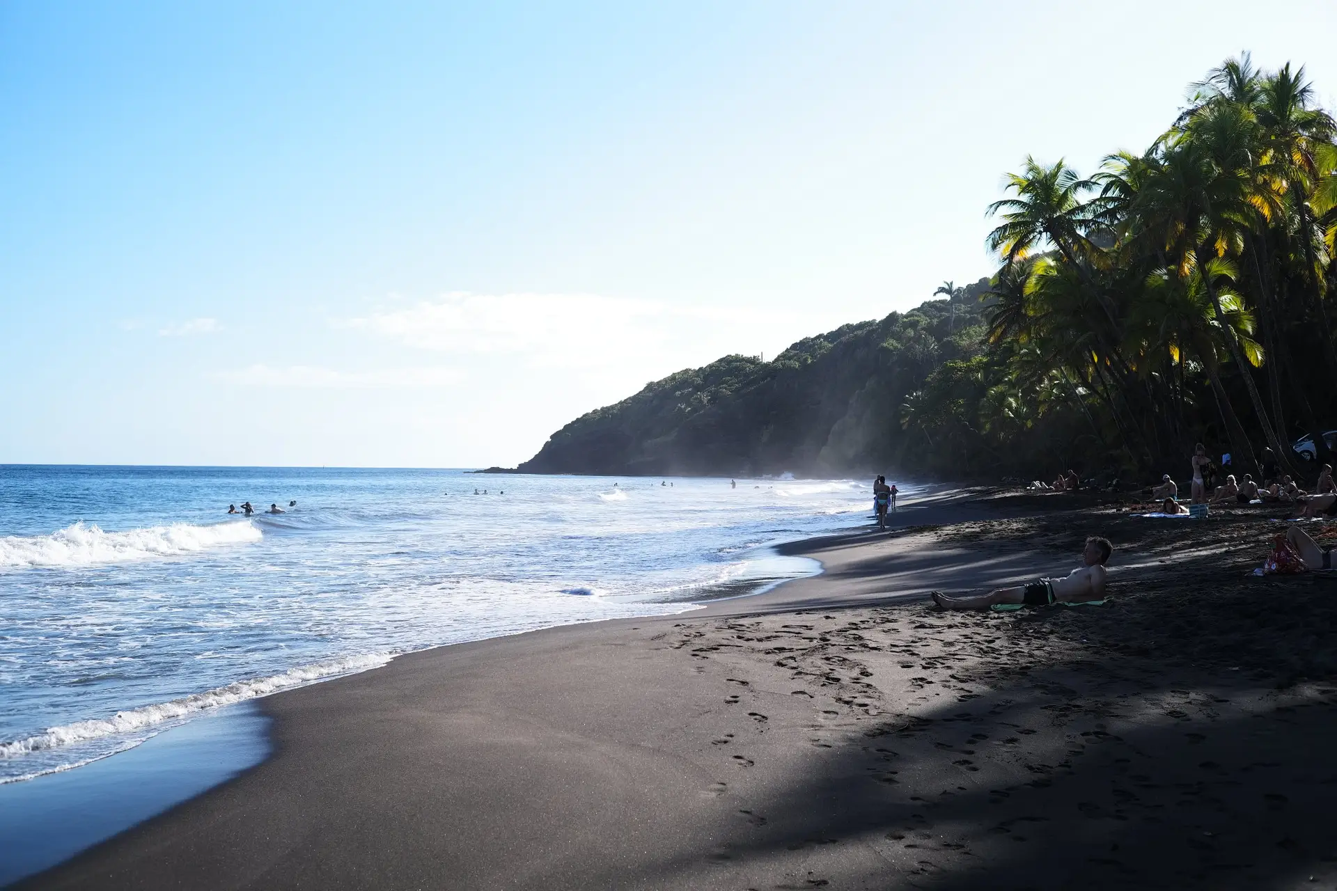 échouement de sargasses sur une plage de Guadeloupe
