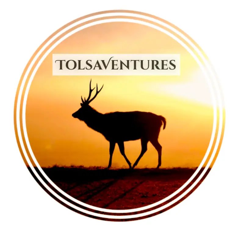 logo tolsaventures contact blog voyage