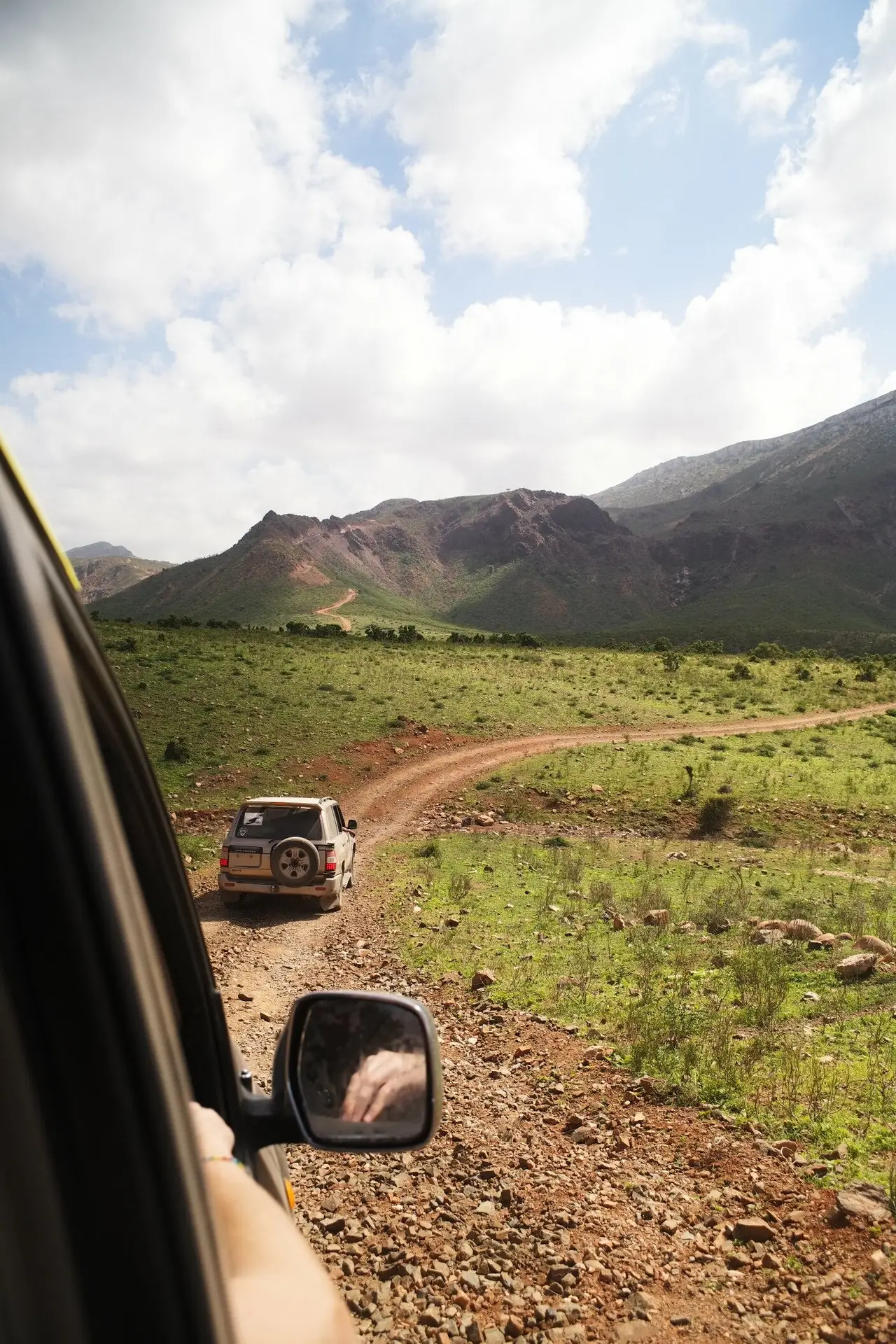 Socotra l'île aux merveilles