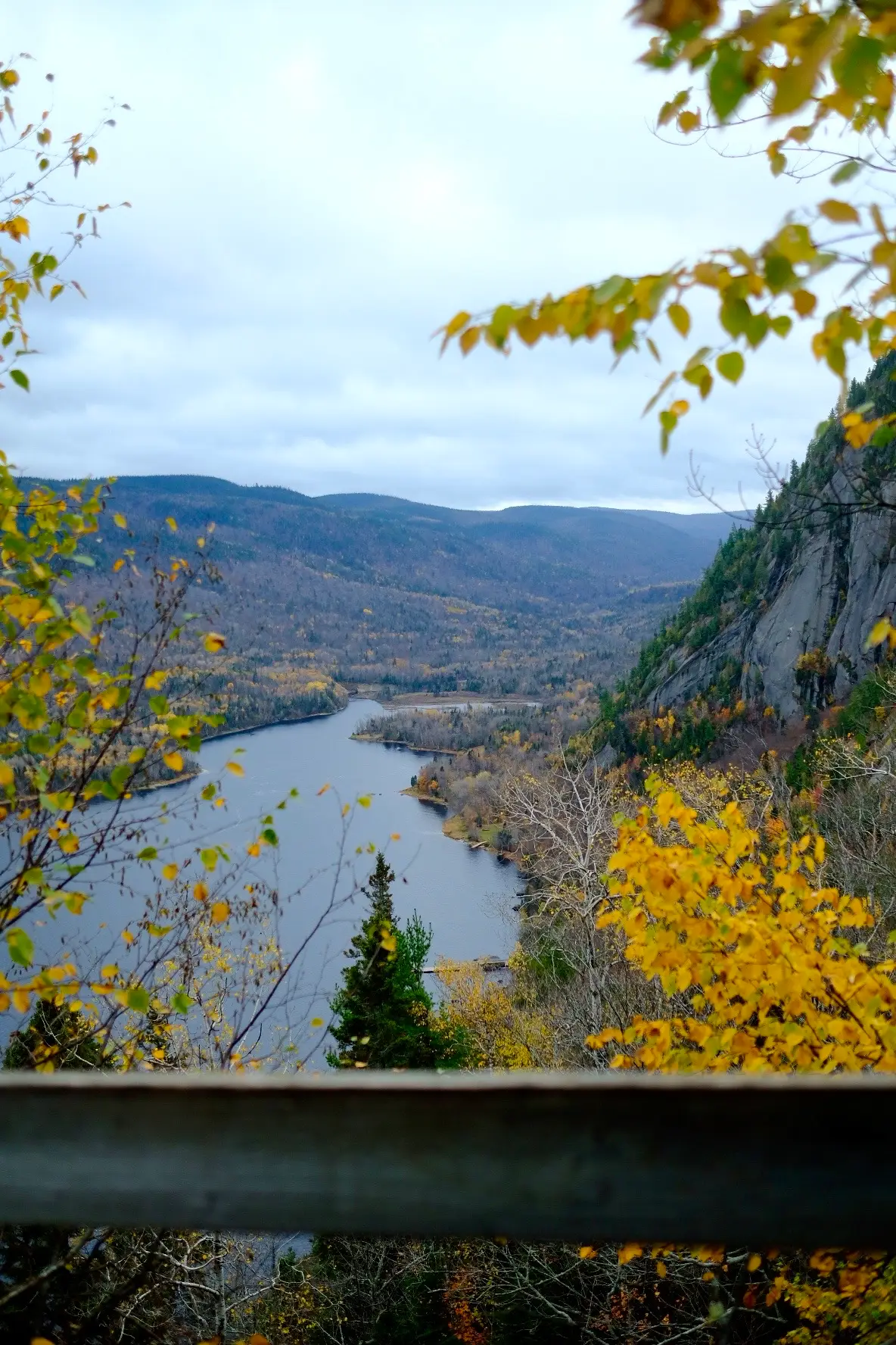 québec fleuve feuilles jaunes