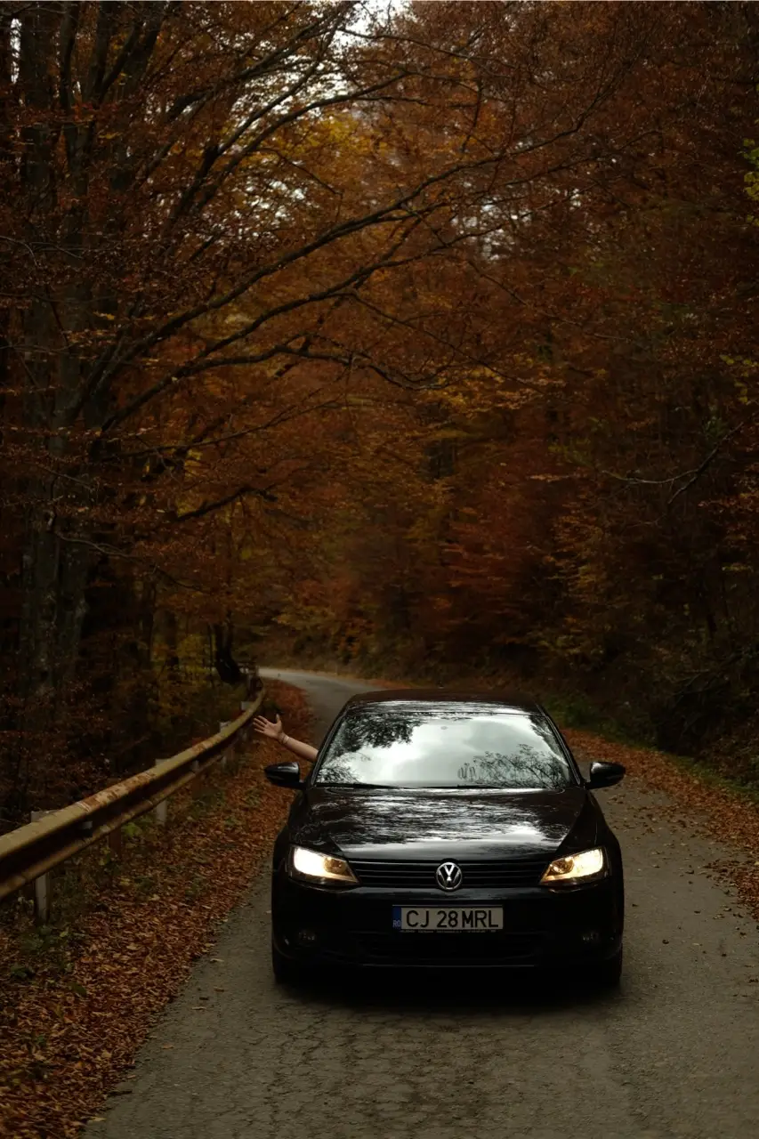 Geamana roumanie voiture automne