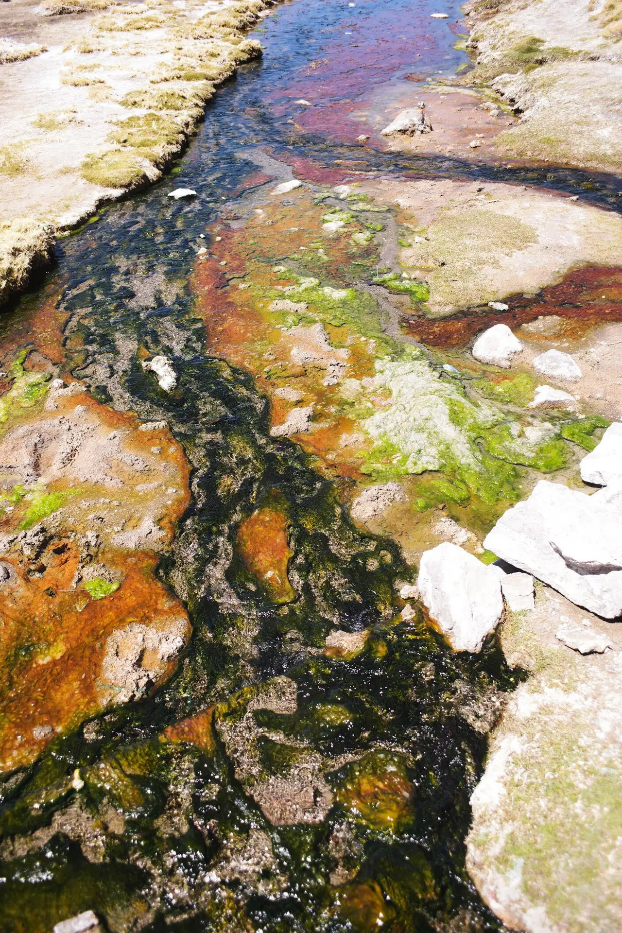 couleurs sud lipez eau