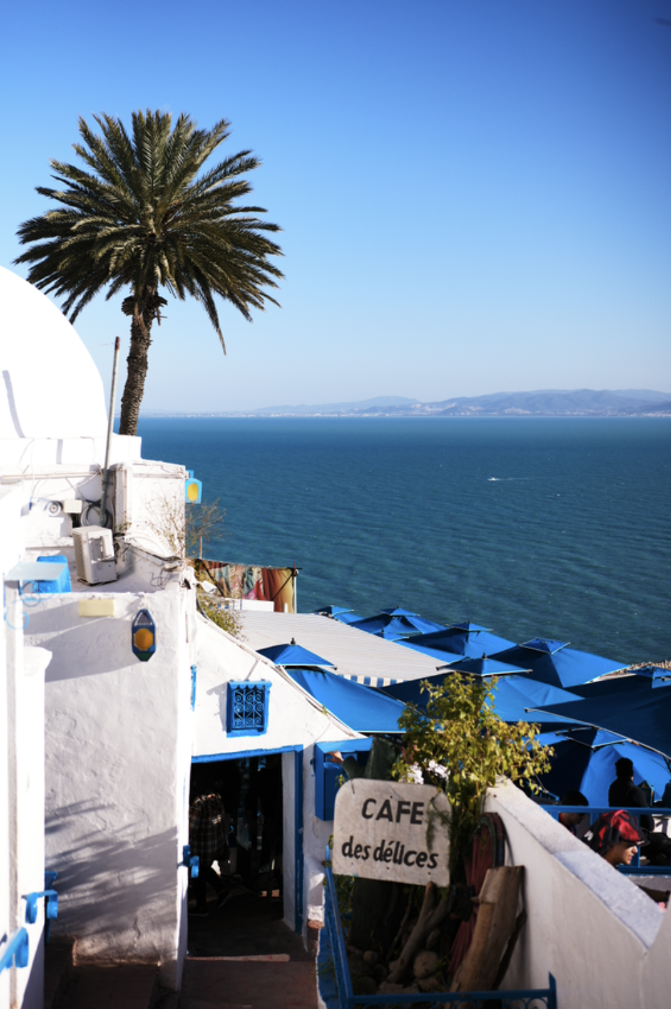 café des délices sidi bou said cité