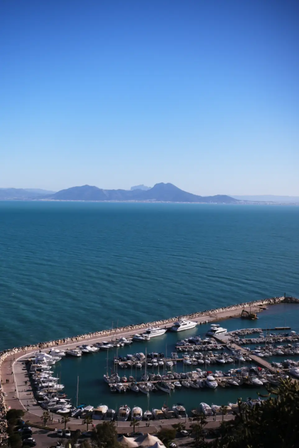 Sidi Bou Saïd cité des délices