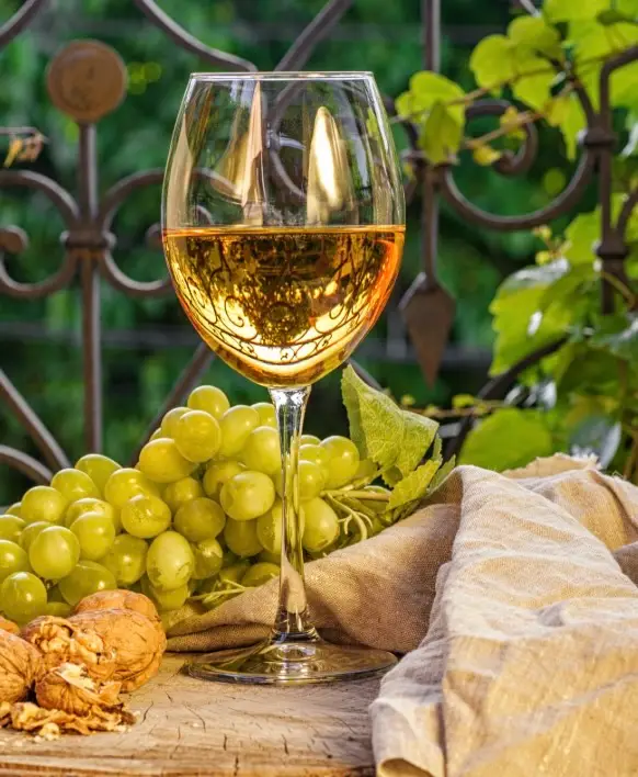 La Kakhétie et le vin Géorgien