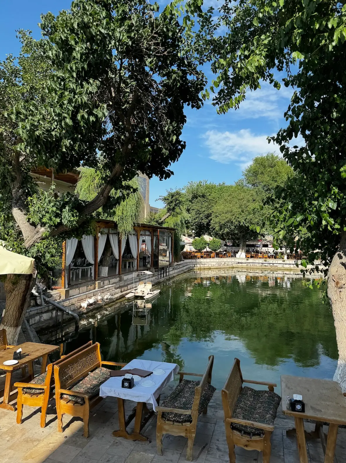 boukhara oasis ouzbékistan