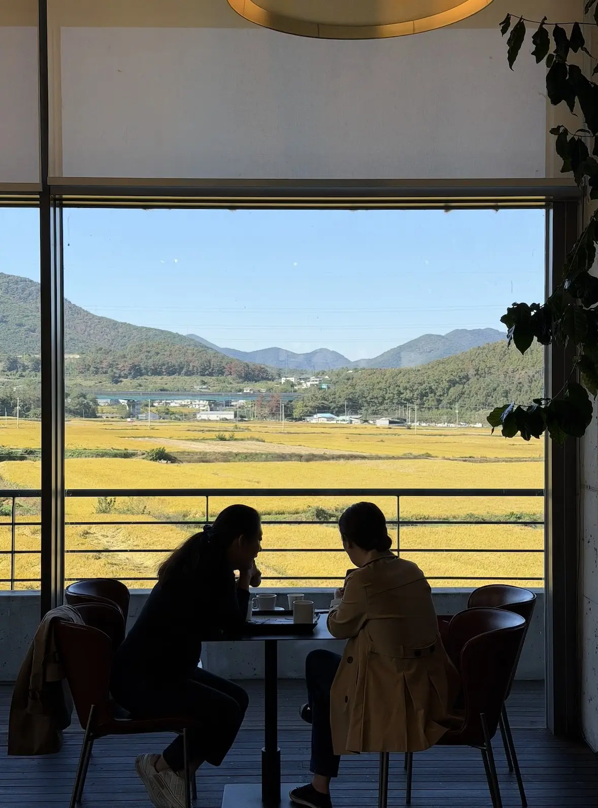 que faire à gyeongju que manger ?