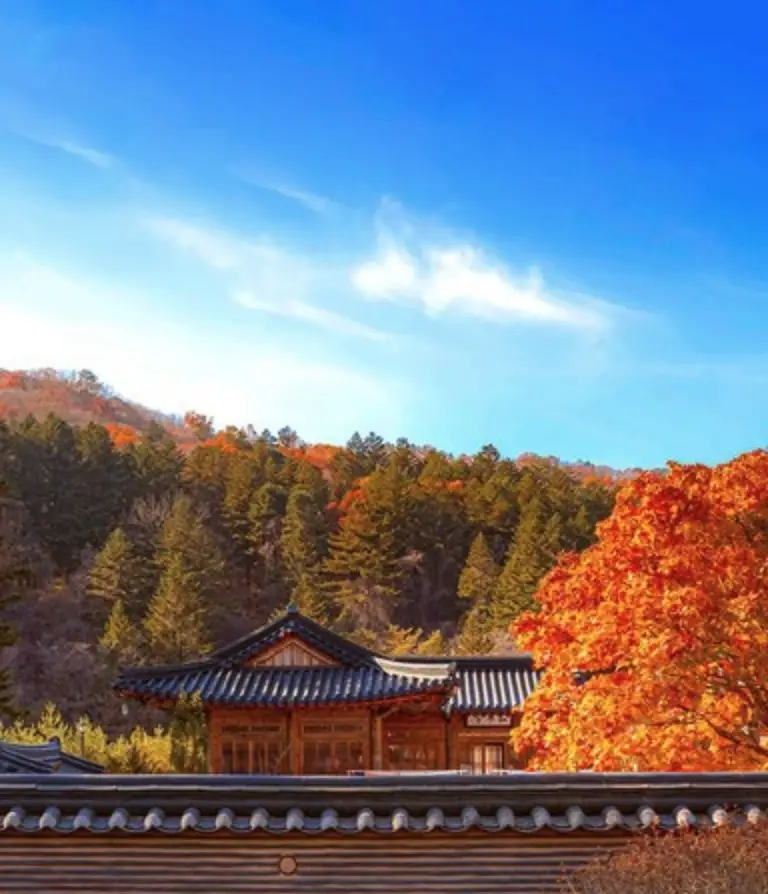 Mont Odeasan gangneung l'autre corée