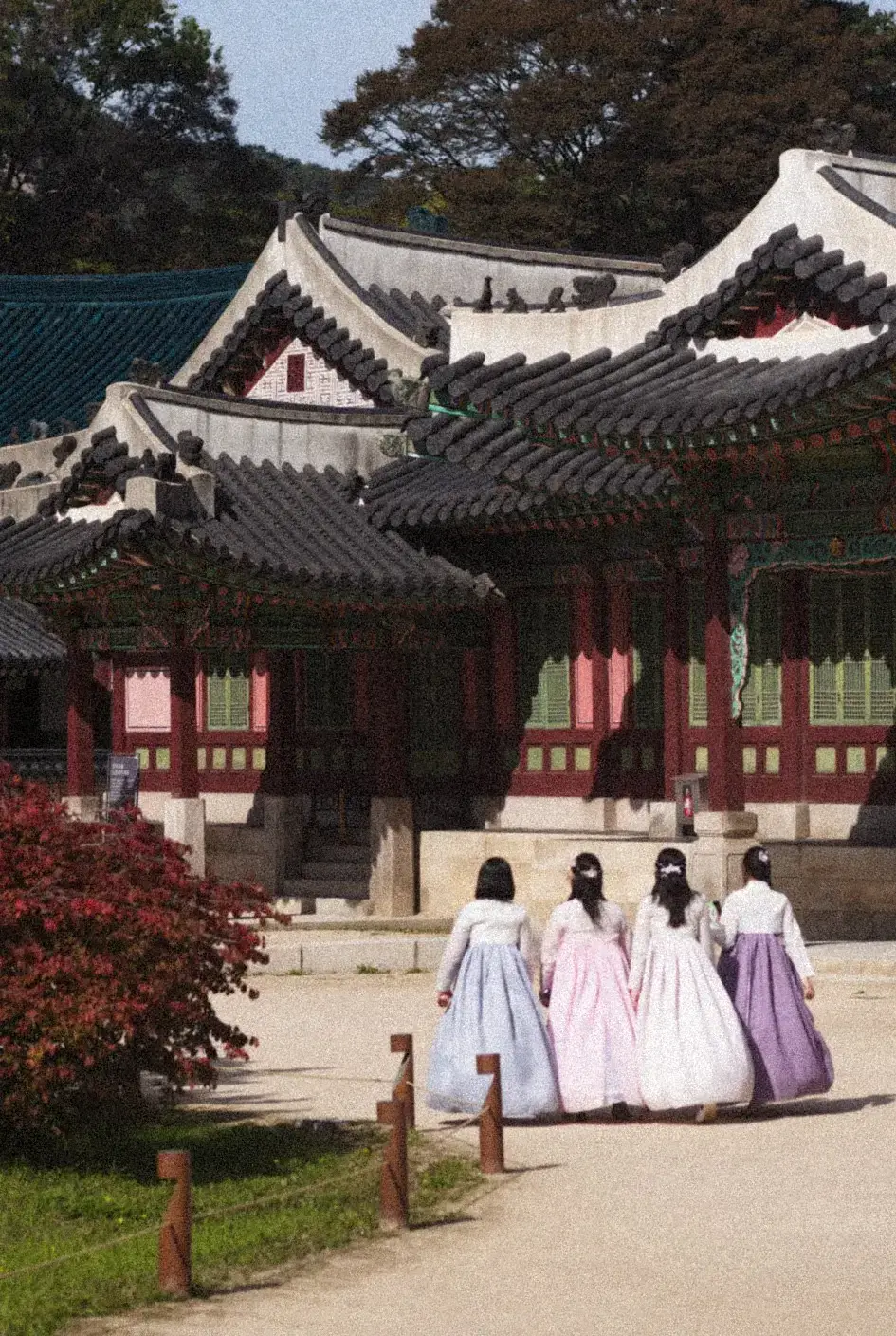 une semaine à séoul