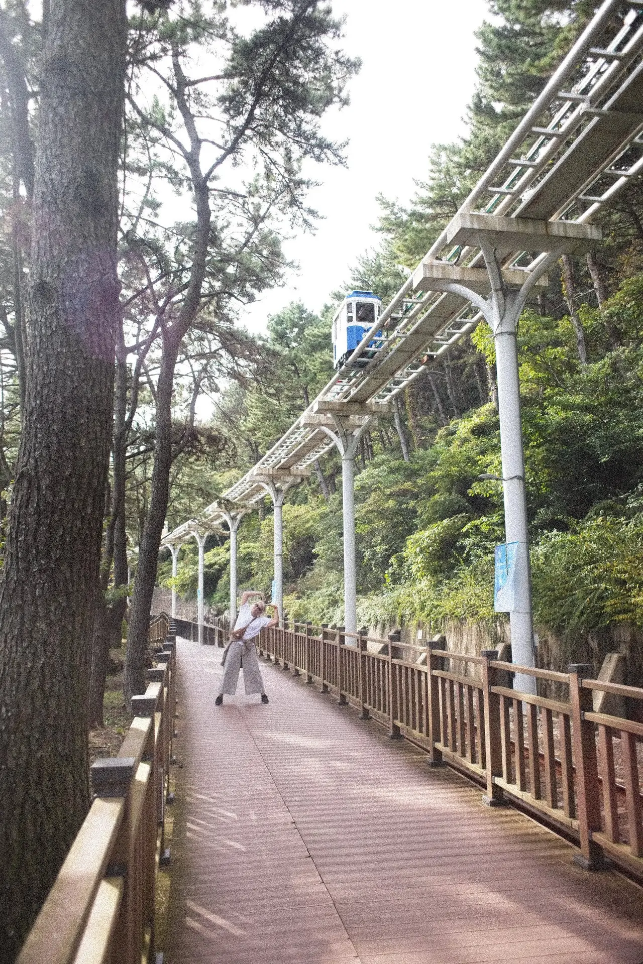 blue line busan guide ultime