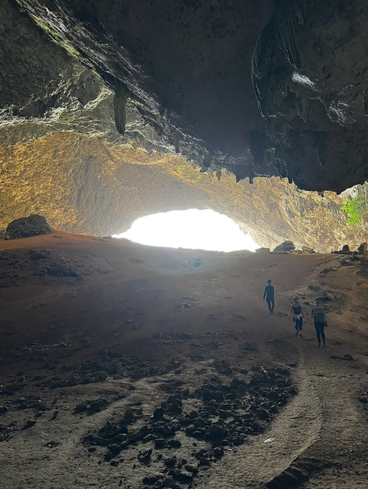 hoq cave socotra spéléo