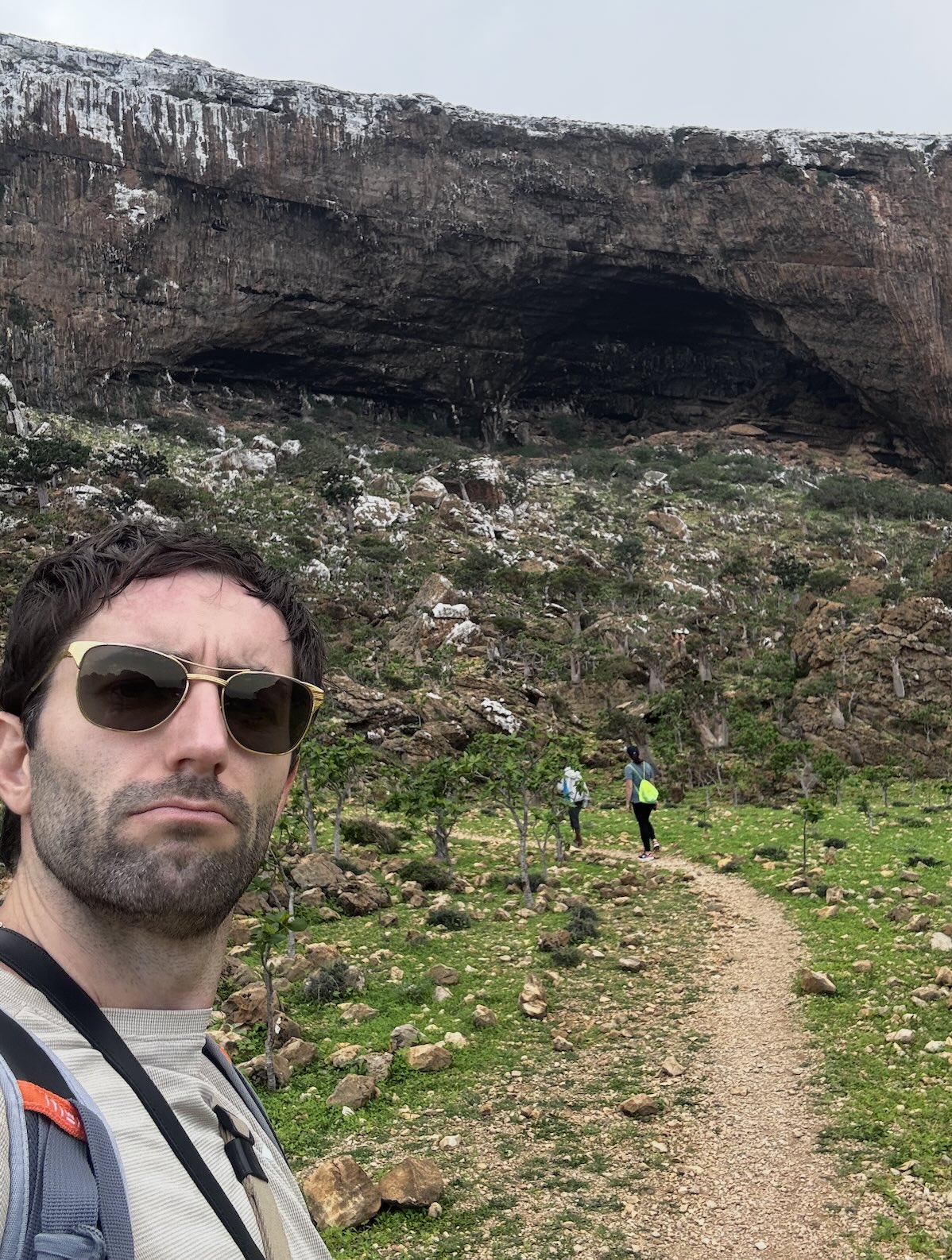 Top 10 des incontournables de Socotra photos hoq