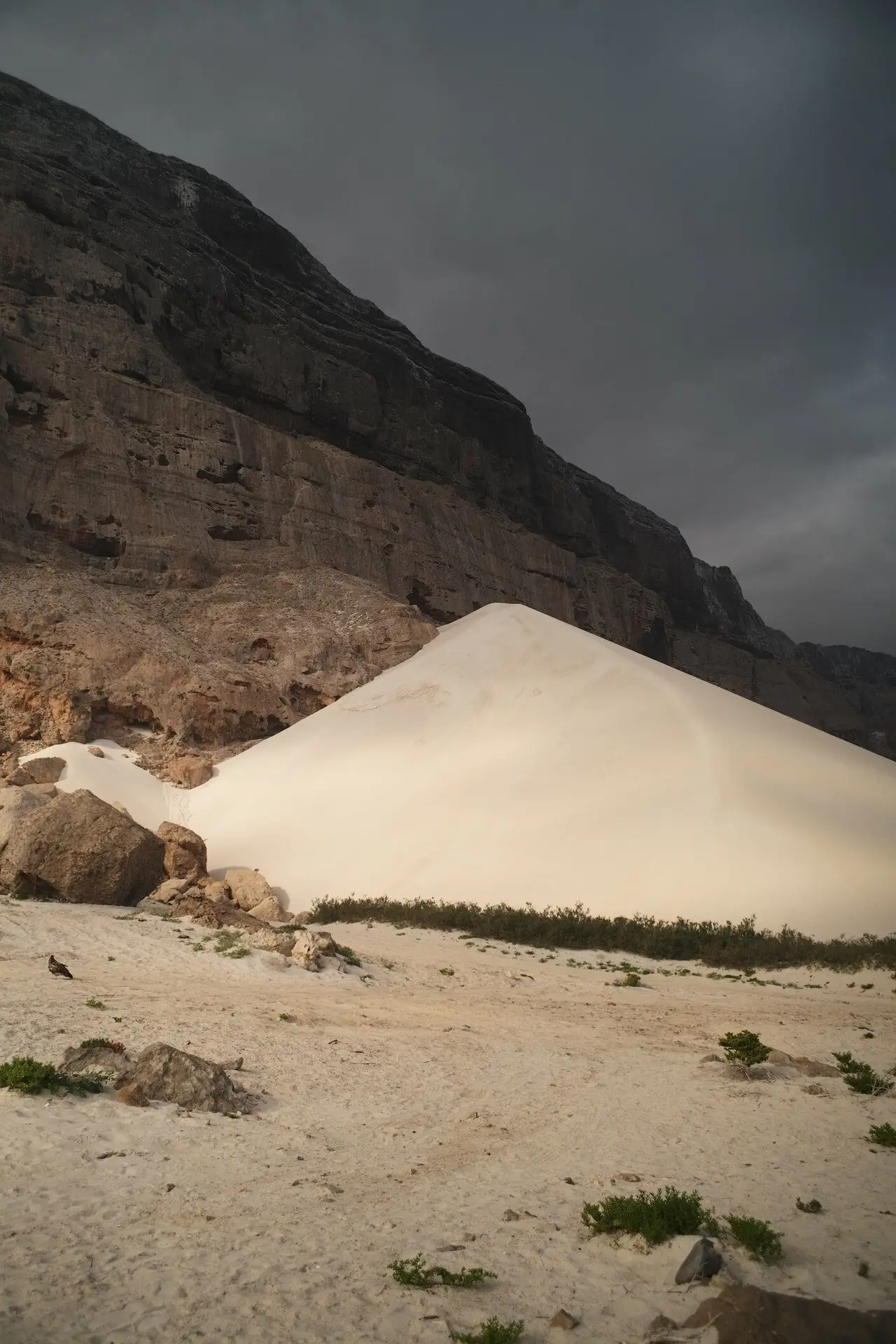 arher beach plage socotra
