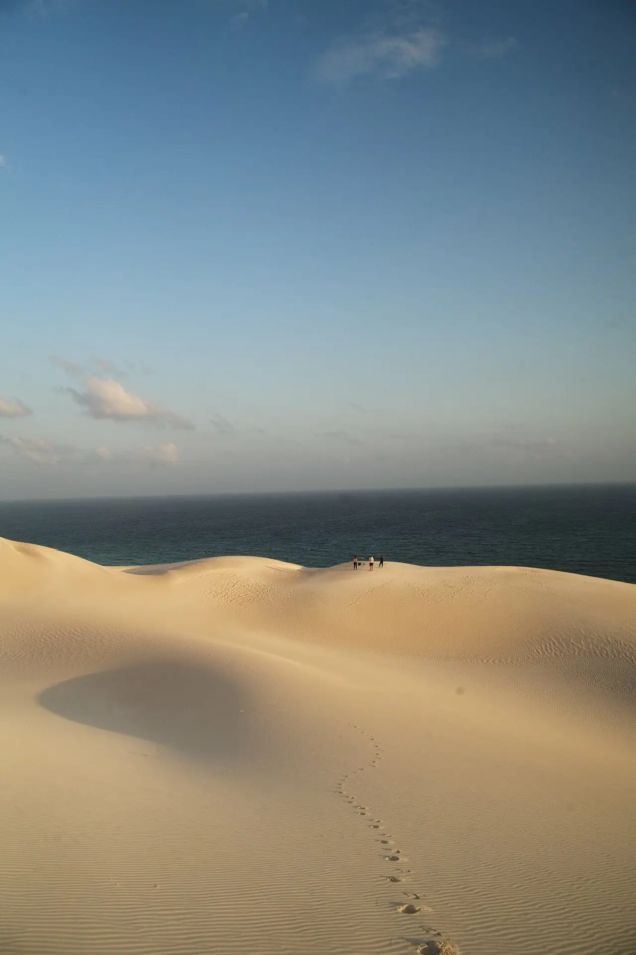 arher beach socotra