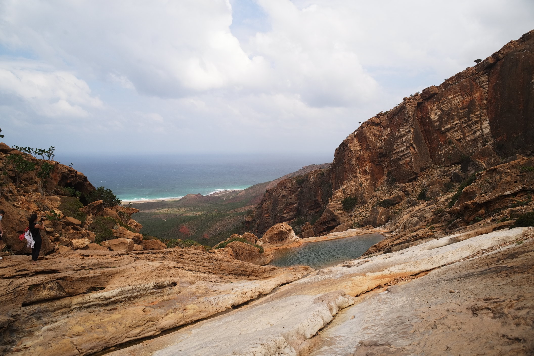 Homhil piscine naturelle socotra