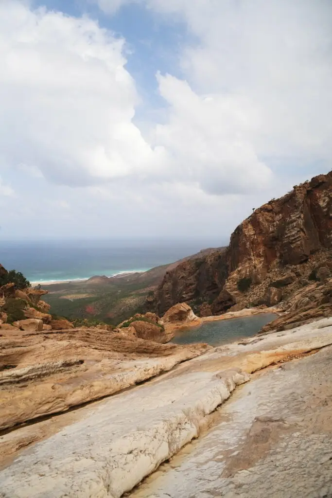 homhil piscine naturelle