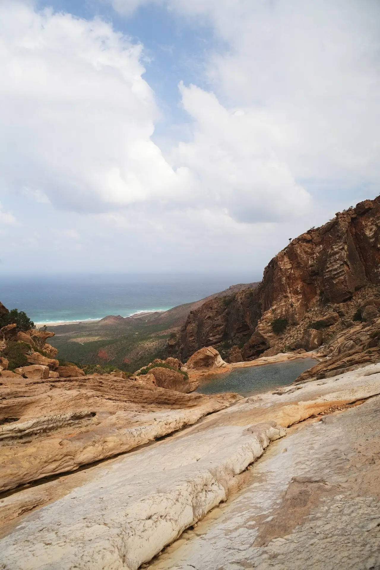 homhil piscine naturelle