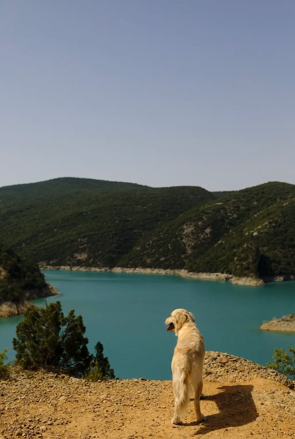 ermitage de san marcos finestras