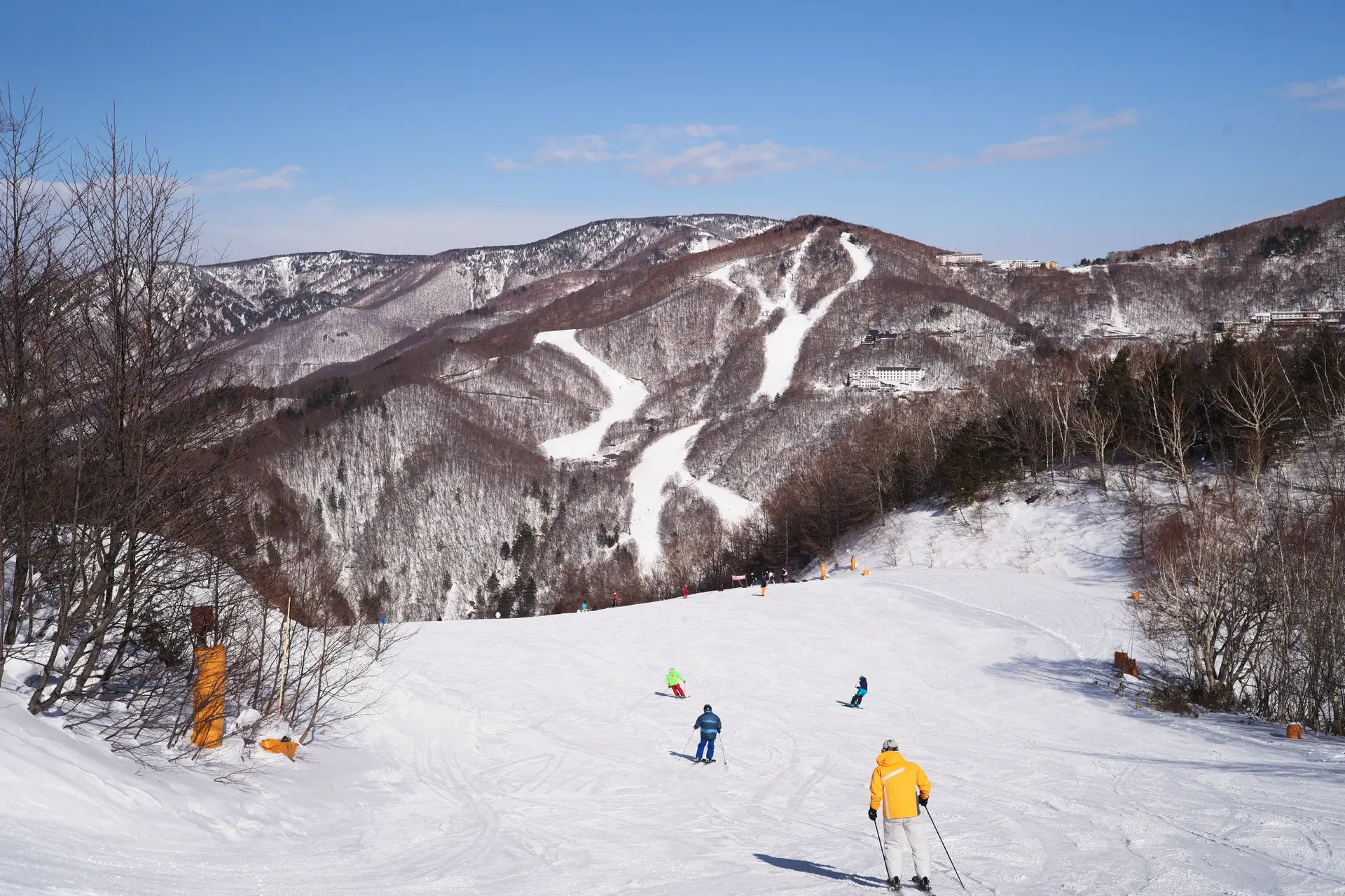 ski shiga kogen nagano