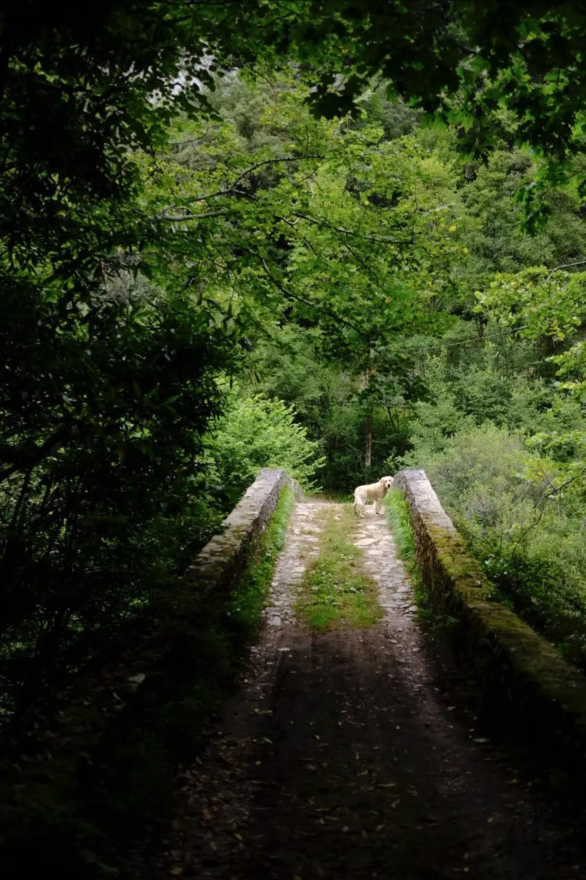 puentedey pronvince de burgos