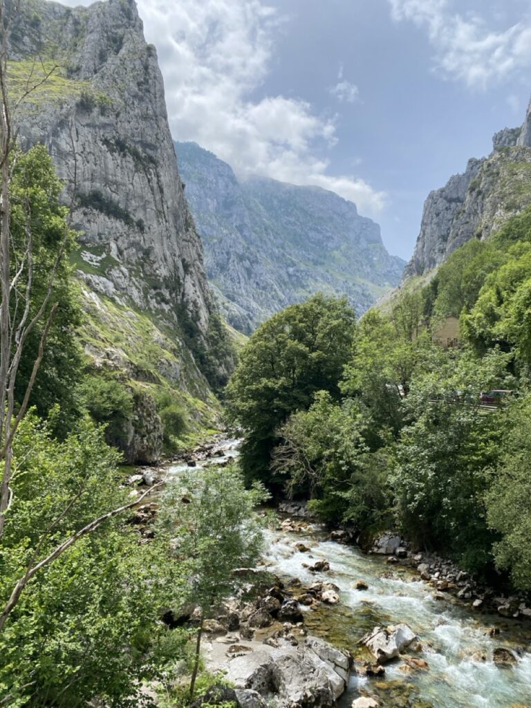 Picos de europa montagnes et rivière nord de l'espagne