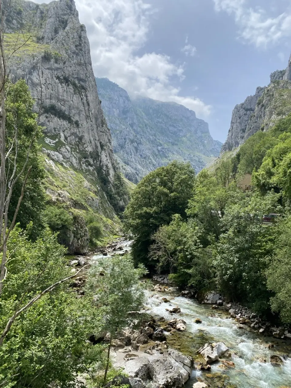 Picos de europa montagnes et rivière nord de l'espagne