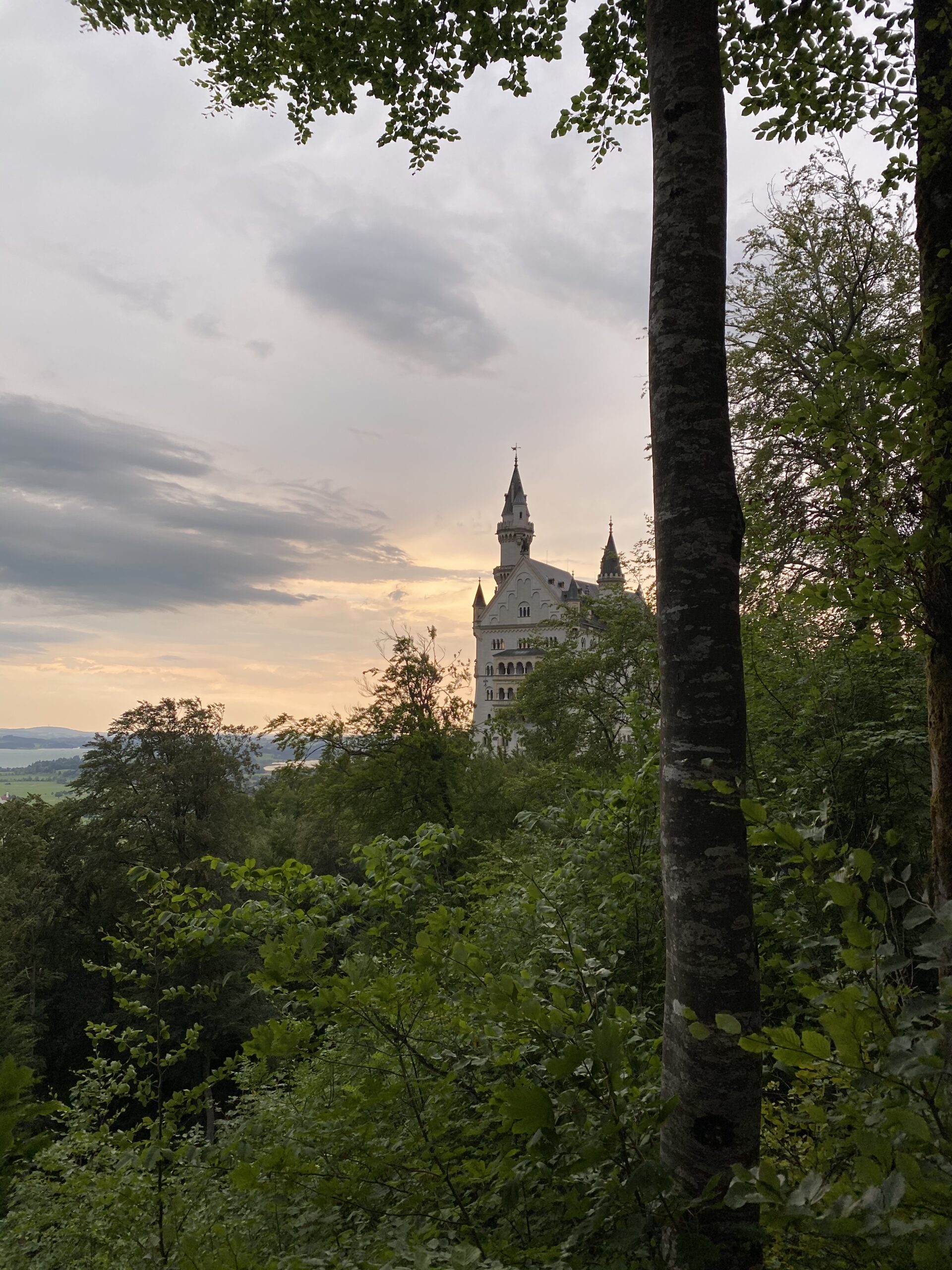 neuschwanstein chateau allemagne