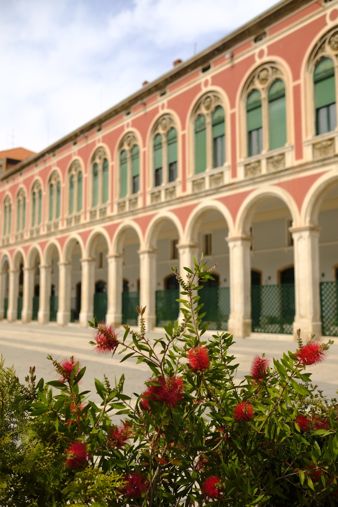 palais split