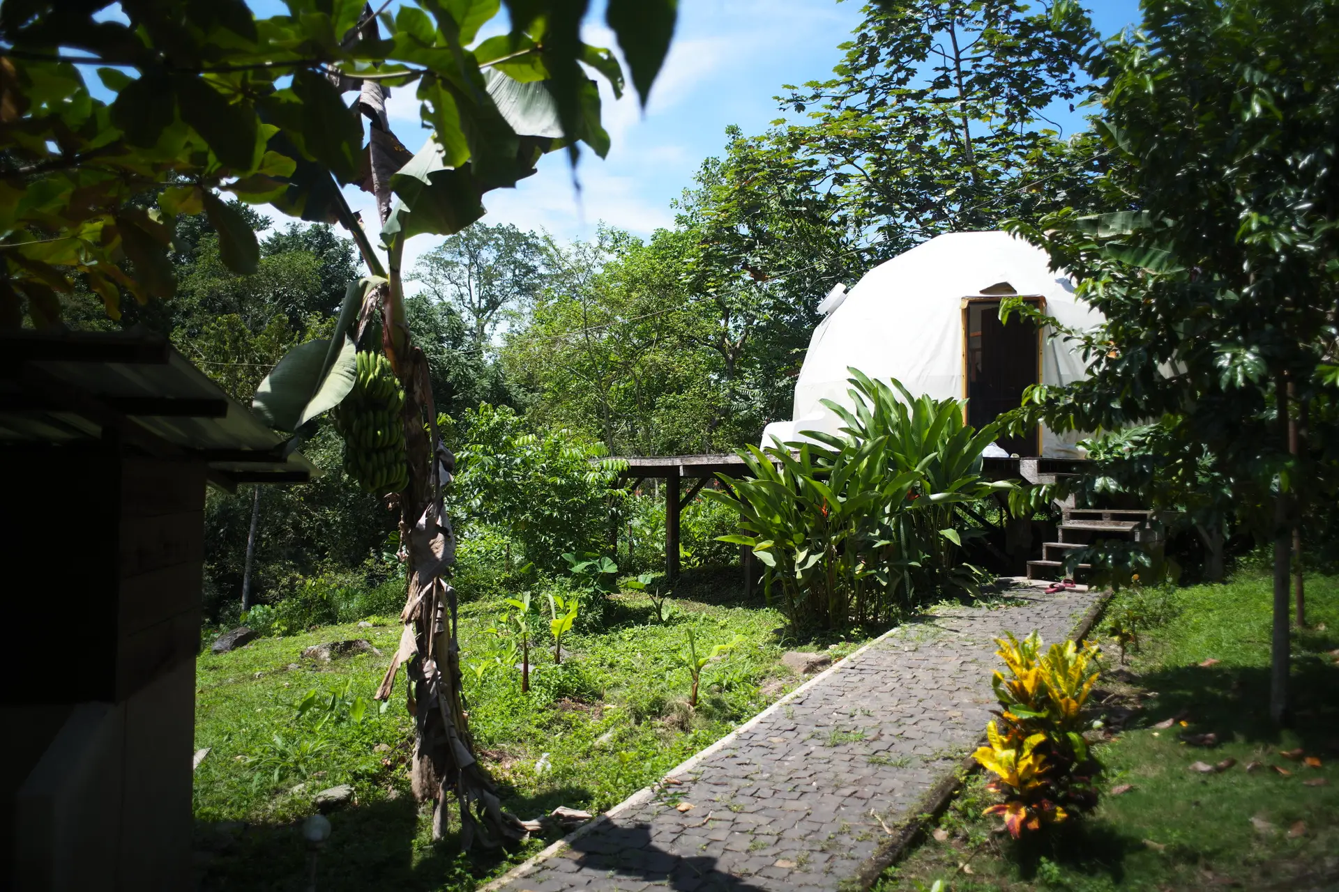 eco lodge valley sao tome jungle