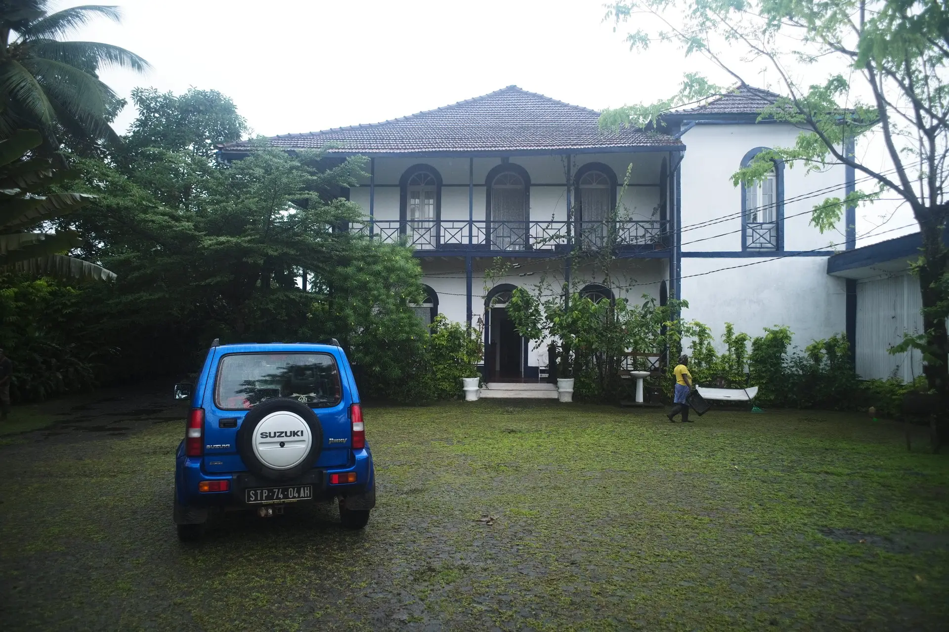 foret jungle sao tome nature