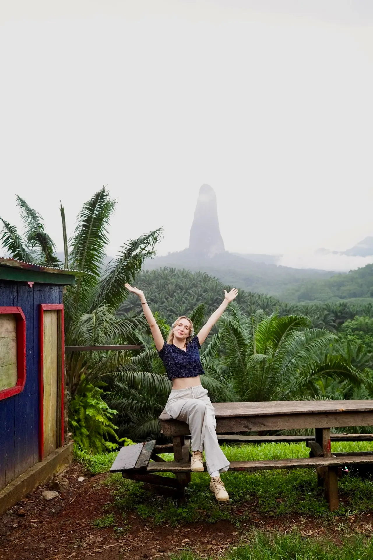 pico cao grande depuis la route du sud sao tome