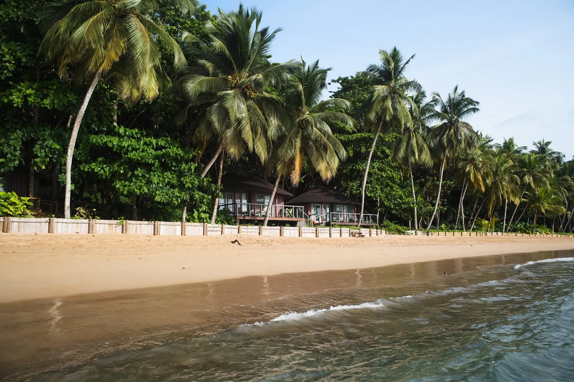 principe island foret primaire reserve biosphere