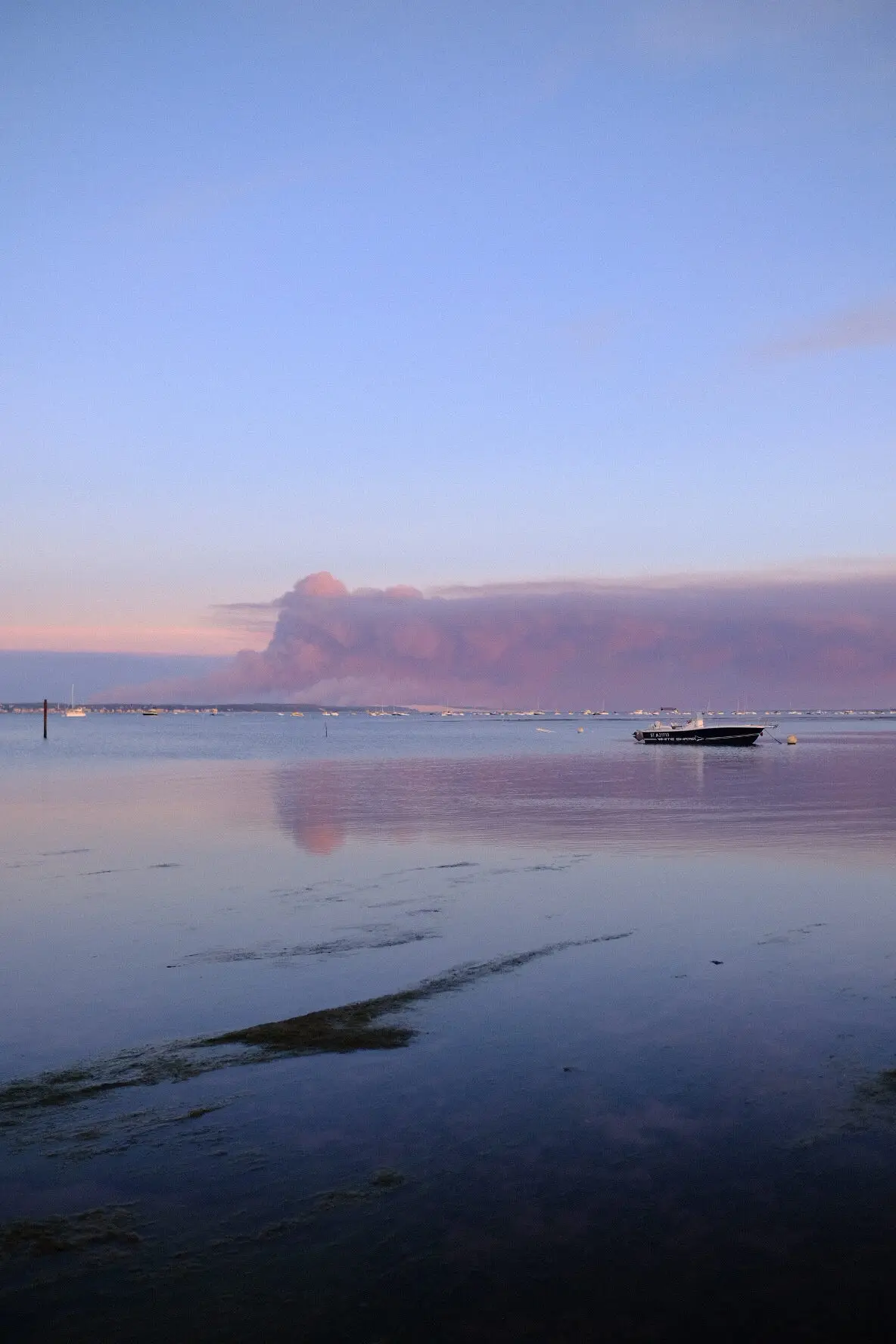 Le feu au ferret