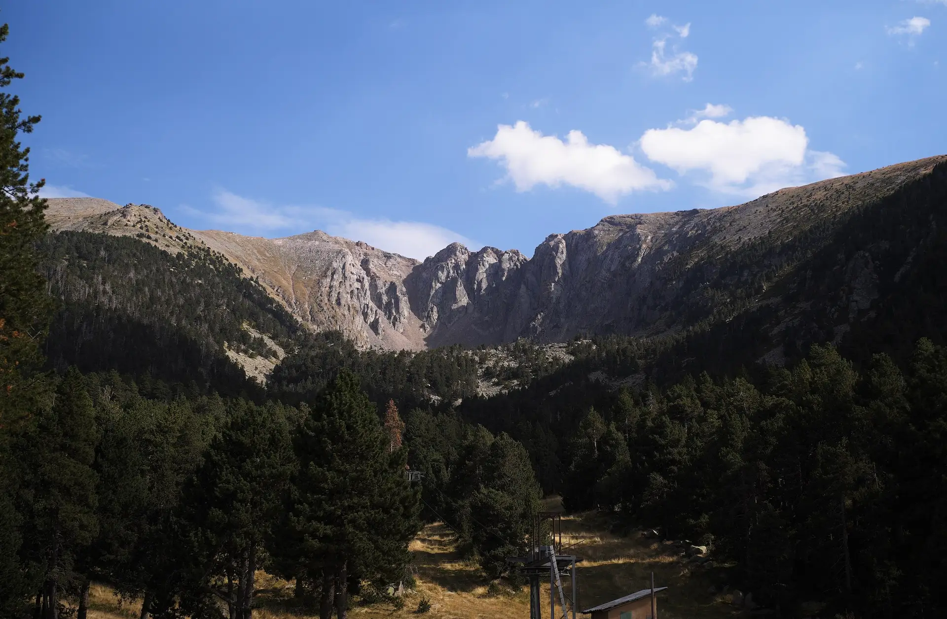 à la bordure du plateau du Capcir, les arbres et les cimes de la Cambre d'Aze