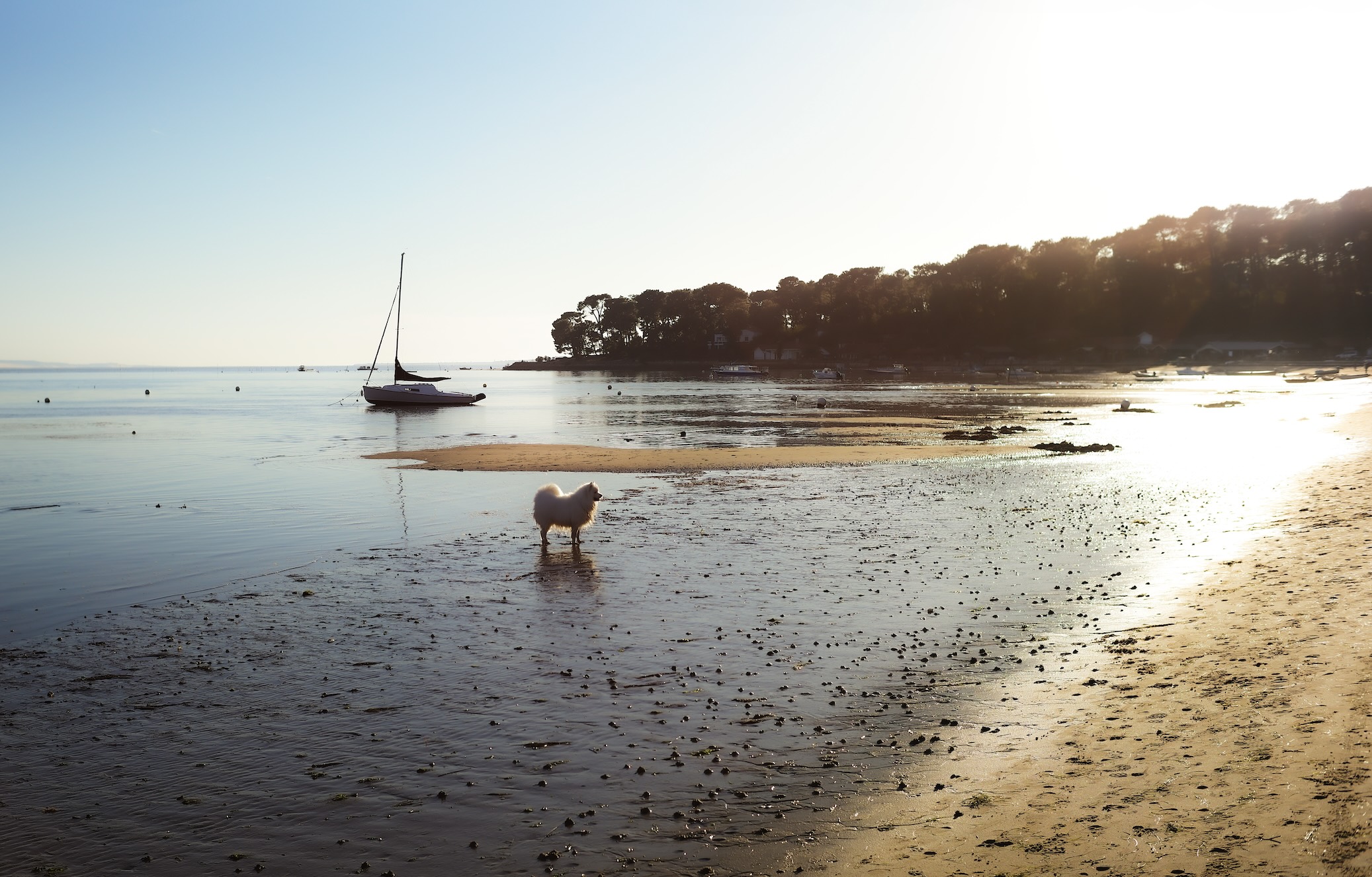 dégustation d'huîtres du bassin d'Arcachon dans une cabane des Jacquets