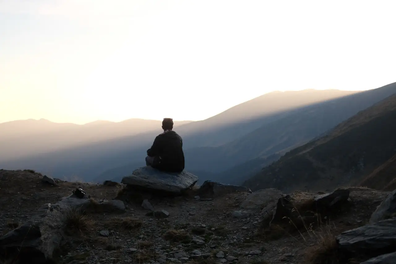 arbre dragon sur le plateau de Diksam, Socotra