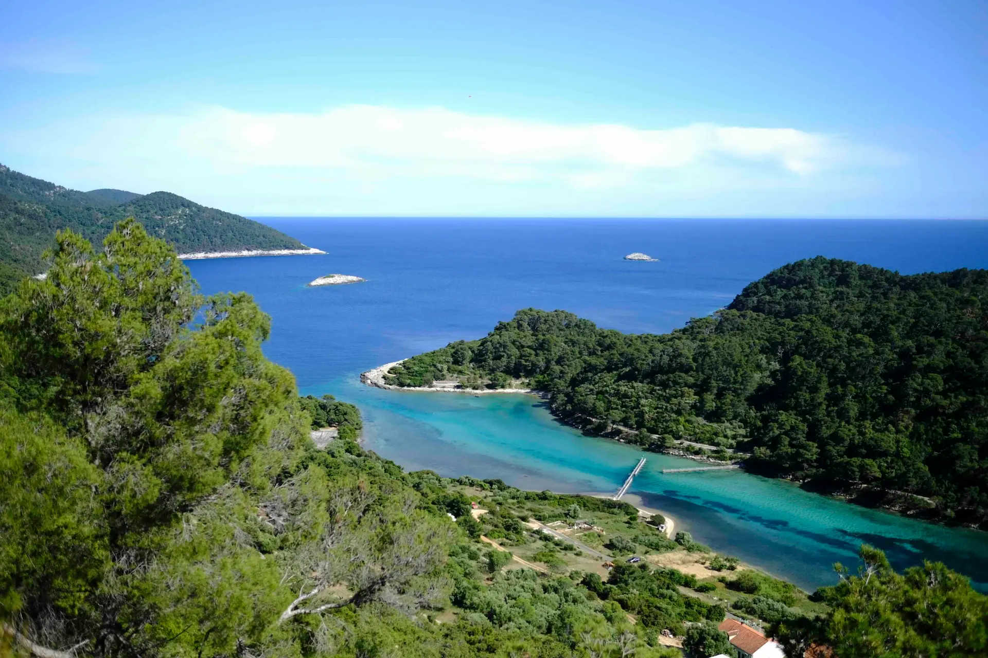 Une crique déserte bordée de pins sur l'île de Mljet en Croatie